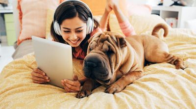 Aprenda o nome dos animais em inglês Aprenda o nome dos animais em inglês