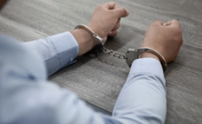 Estudos criminais: teoria e prática