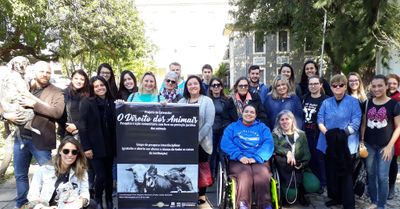 Projeto de extensão consolida IPA como referência da causa animal no âmbito universitário gaúcho Projeto de extensão consolida IPA como referência da causa animal no âmbito universitário gaúcho
