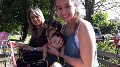 Veja como foi a terceira edição do evento de adoção de animais Veja como foi a terceira edição do evento de adoção de animais