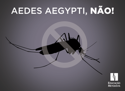 IPA entra na luta contra o mosquito Aedes aegypti IPA entra na luta contra o mosquito Aedes aegypti