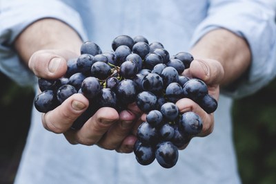 Ingestão de suco de uva integral na gravidez pode ajudar a prevenir doenças da mãe e dos filhos, aponta estudo do IPA Ingestão de suco de uva integral na gravidez pode ajudar a prevenir doenças da mãe e dos filhos, aponta estudo do IPA