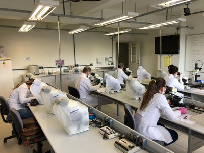 IPA retoma de forma gradual aulas práticas IPA retoma de forma gradual aulas práticas